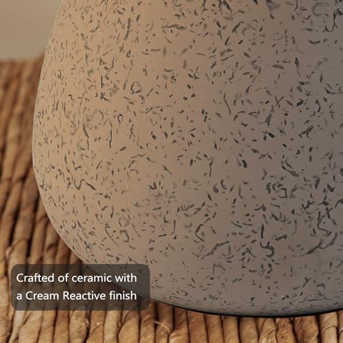 Earth Brown Rustic Ceramic Table Lamp Set of 2