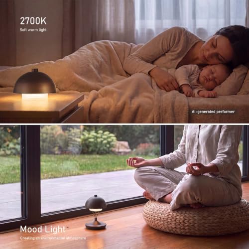Cordless Modern Desk Lamp