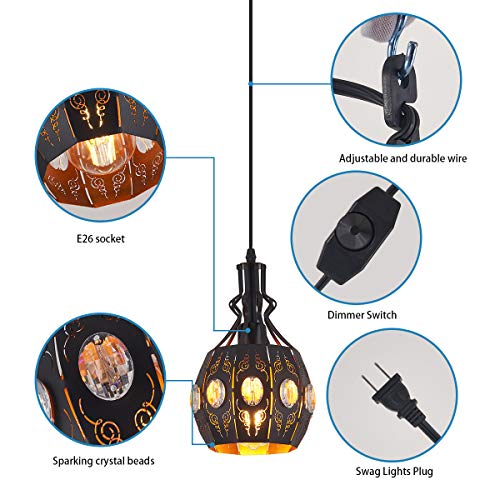 Hanging Lamp Swag Lights Plug in Pendant Light