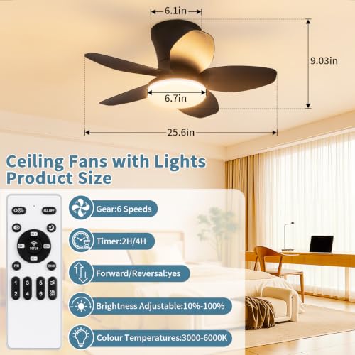 Small Ceiling Fan with Lights (25 Inch)
