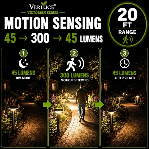 Premium Solar Pathway Lights Outdoor (2 Count)