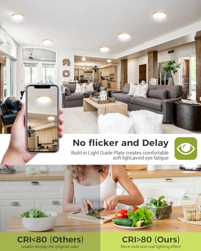Flush Mount Ceiling Light Fixtures