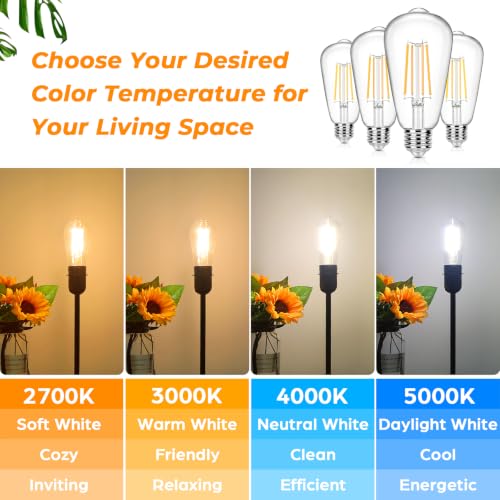 12 Pack Vintage LED Edsion Bulbs 100W Equivalent (12 Count)