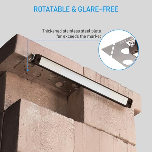 8 Pack 12 Inch LED Hardscape Lighting (8 Count)
