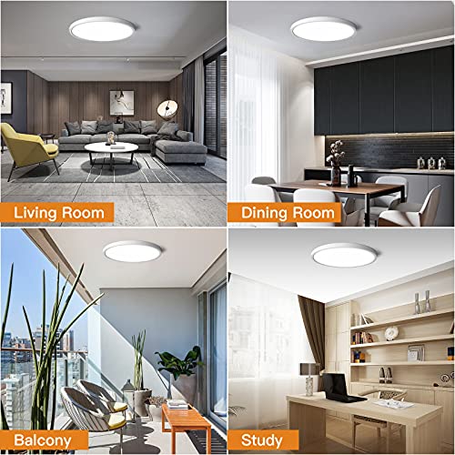 Dimmable Flush Mount Ceiling Light