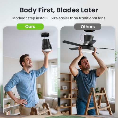 52" Ceiling Fans with Lights and Remote (Black / 52 Inch)
