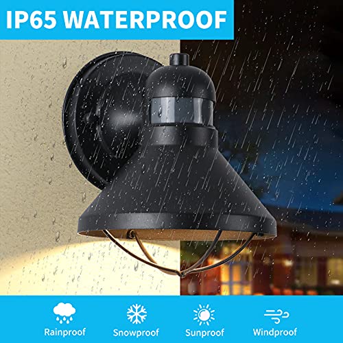 Dusk to Dawn Motion Sensor Outdoor LED Porch Wall Light Fixture
