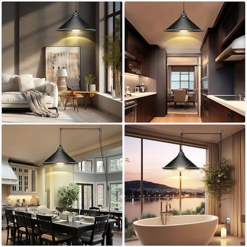 Big Black Plug in Pendant Light