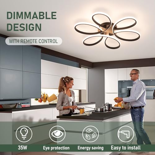 26inch Modern LED Ceiling Light