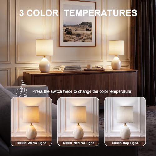 17.7" Ceramic Table Lamps Set of 2 for Living Room Bedroom (2 Count)