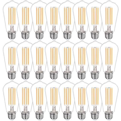 24Pack Vintage LED Edison Bulbs (24 Count)