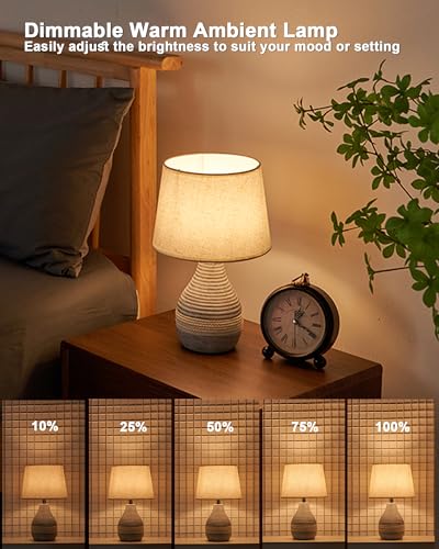 13" H Small Rechargeable Cordless Ceramic Table Lamp