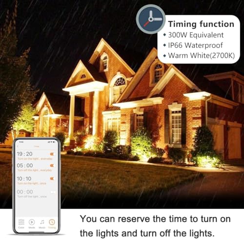 Led Flood Light 30W (2 Count)