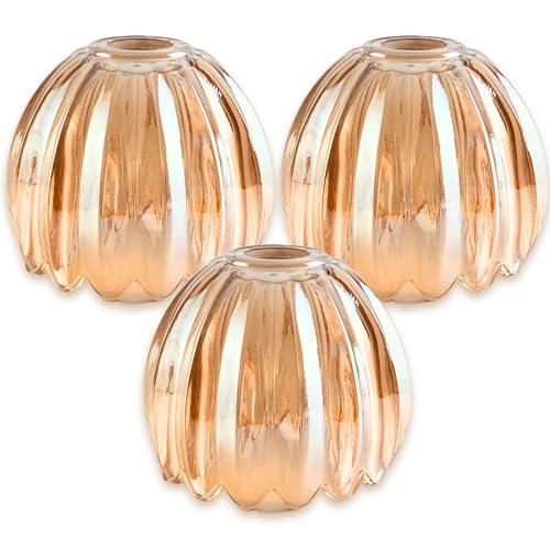 Amber Tulip Glass Lamp Shades 3Pcs (3 Count)