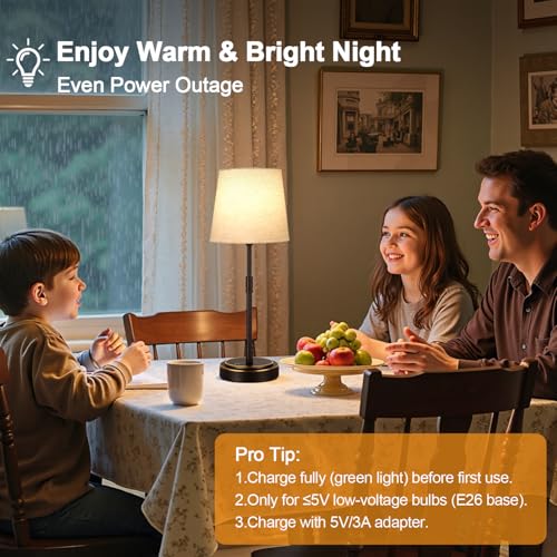 Cordless Table Lamps Set of 2 (2 Count)