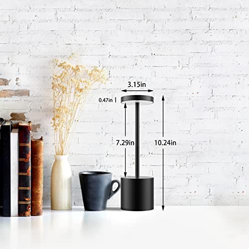 LED Cordless Table Lamps