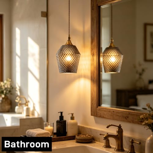 2Pcs Small Glass Lamp Shades (2 Count)