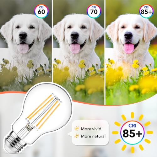 60W Equivalent E26 LED Filament Light Bulbs (4 Count)