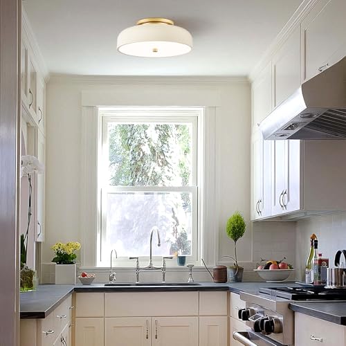 Dimmable LED Ceiling Light Fixture