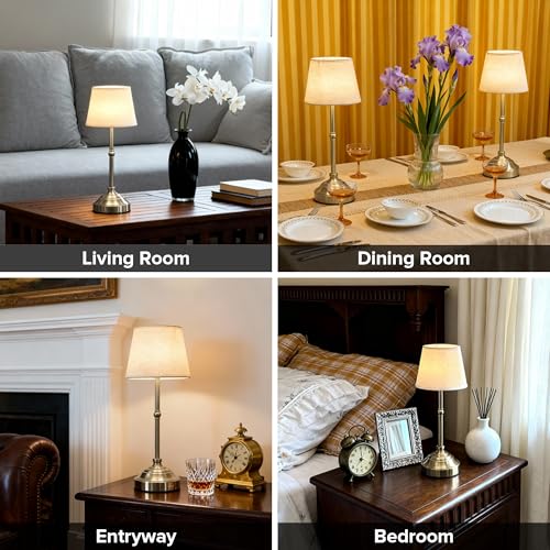 Cordless Table Lamp