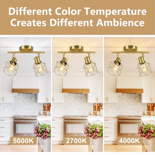 2 Lights Kitchen Track Lighting Ceiling