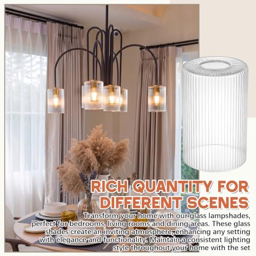 6 Pack Clear Ribbed Glass Lamp Shade 1 (6 Count)