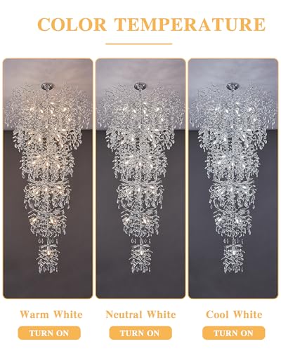 Luxury Silver 6