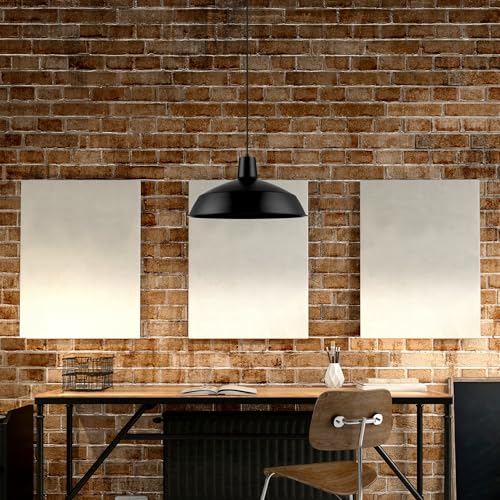 65155 1 Light Industrial Warehouse Pendant Lighting