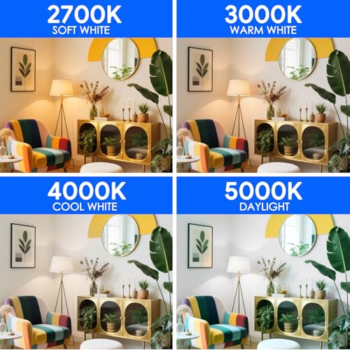 Dimmable Light Bulbs (6 Count)