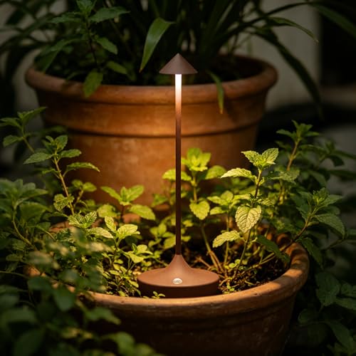 Rechargeable Cordless Table Lamp (2 Count)