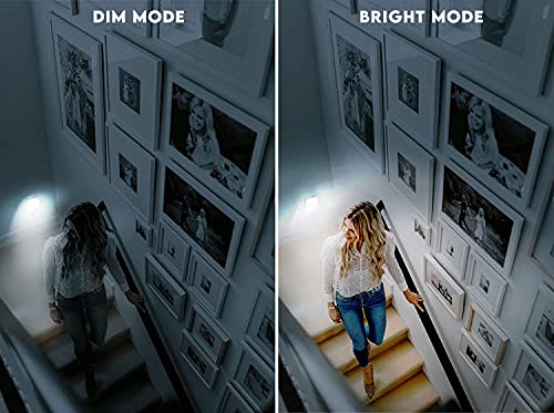 Plug in Led Night Light with Auto Dusk to Dawn Sensor (6 Count)