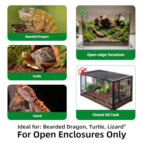 Reptile Heat Lamp Holder with Clamp