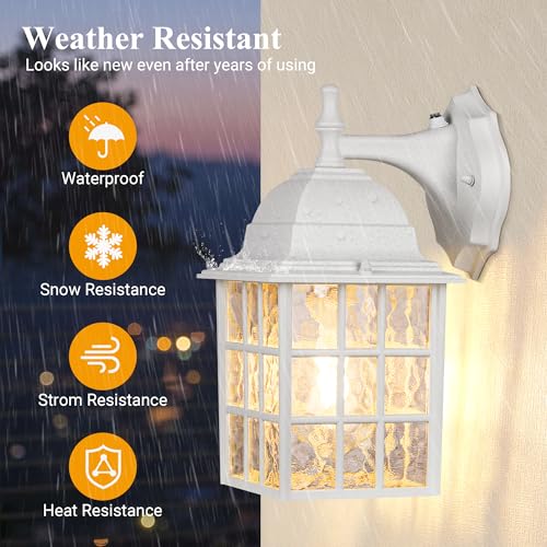 Dusk to Dawn Outdoor Light Fixture