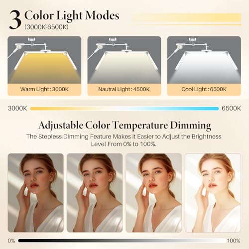 Half Moon Lash Light