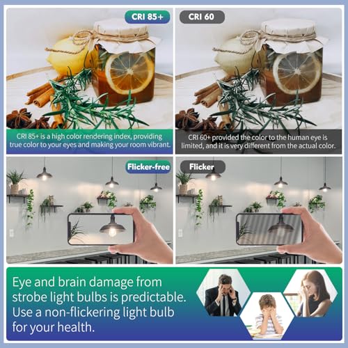 8Pack Dimmable Vintage LED Edison Bulbs (12 Count)