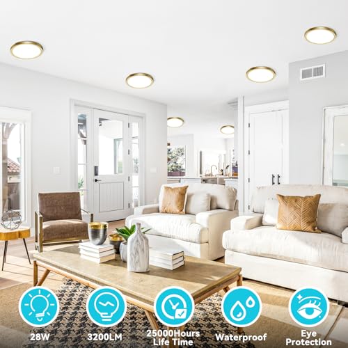 7 Inch Golden Flush Mount Ceiling Light (2 Count)