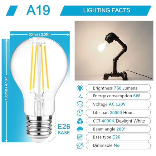 60 Watt Equivalent (6 Count)