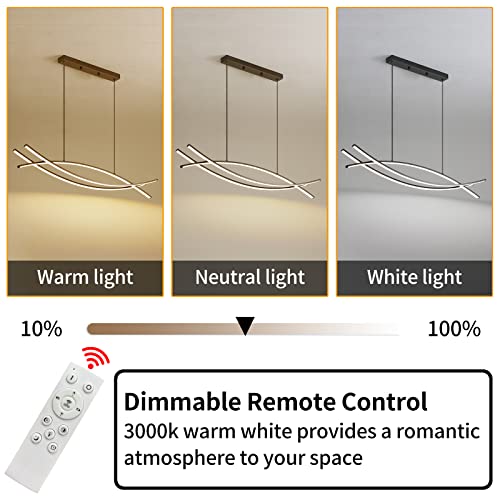 Pendant Light
