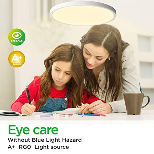 Flush Mount LED Ceiling Light (2 Count)
