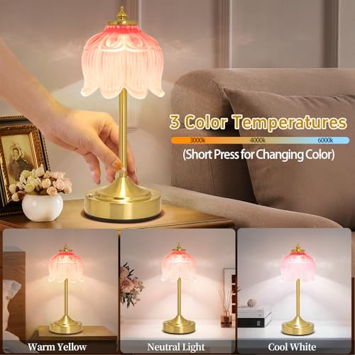 Cordless Table Lamp