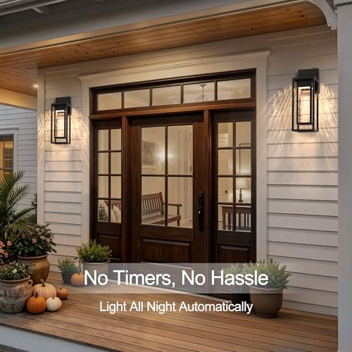 2 Pack LED Outdoor Wall Light (2 Count)