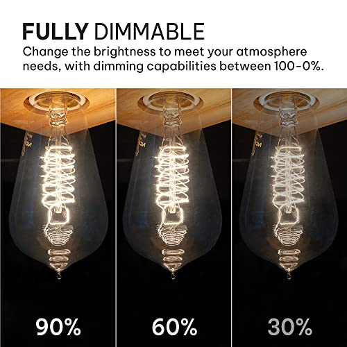 Vintage Incandescent 60W Edison Light Bulbs (4 Count)