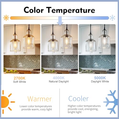 12Pack 60 Watt Equivalent Edison Light Bulbs (12 Count)