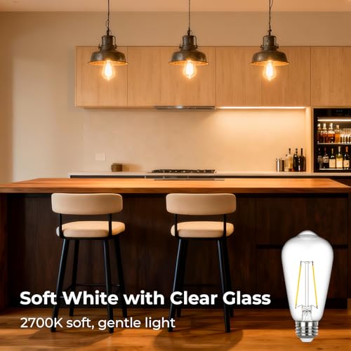 Edison Light Bulbs 60 watt Equivalent (6 Count)