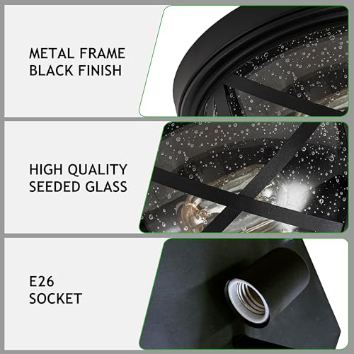 Flush Mount Ceiling Light Fixture Black