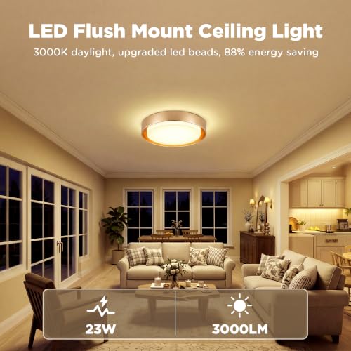 Flush Mount Ceiling Light (Gold)