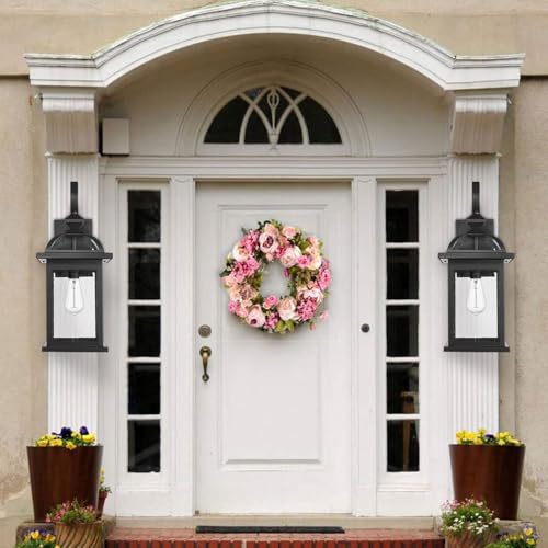 2pcs Outdoor Lights Fixtures Wall Mount (2 Count)