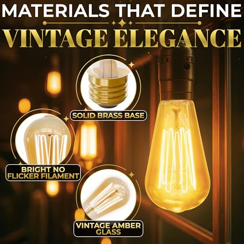 4 Pack Vintage Edison Bulbs (4 Count)