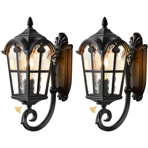 Dusk to Dawn Outdoor Light Fixtures Wall Mount (2 Count)