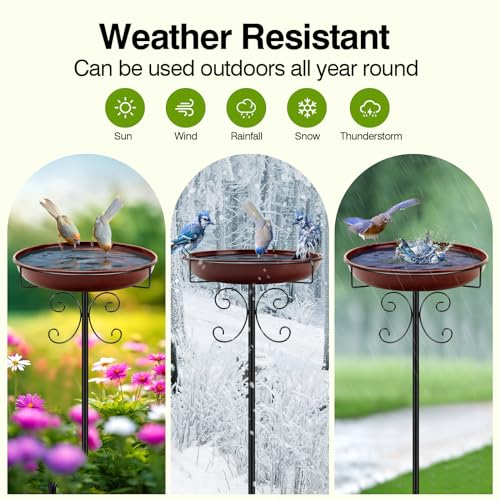 Heavy Duty Bird Baths for Outdoors